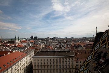 Uitzicht over Wenen, Oostenrijk, in kleur van Bianca Meyering Fotos - BMF
