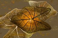 Caladium Pflanze. 5. Digital Art von Alie Ekkelenkamp Miniaturansicht