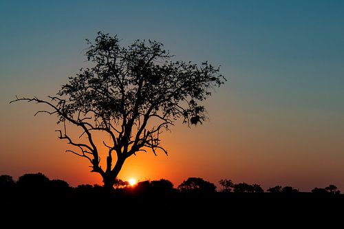 Zonsondergang von Robert Peeters