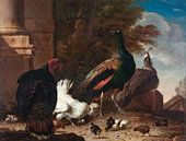 Een hen met pauwen en een kalkoen, Melchior d'Hondecoeter van Schilders Gilde thumbnail