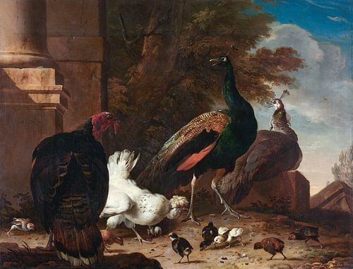 Huhn, Pfauen und Truthahn - Melchior d'Hondecoeter