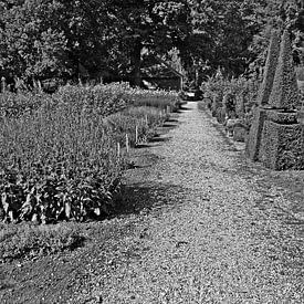 Coniferentuin in zwart wit. van Jose Lok