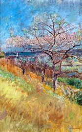 Ladislav Mednyánszky, Valley with Trees in Bloom - 1900 by Atelier Liesjes