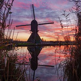 Kinderdijk, Folge 9: Sonnenuntergang von Bfec.nl