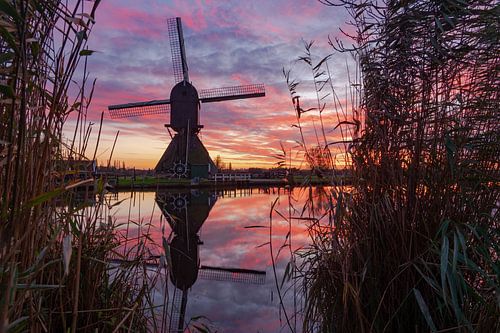 Kinderdijk episode 9 zonsondergang