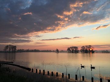 Zonsopkomst Reeuwijkse Plassen van Patrick Middelkoop