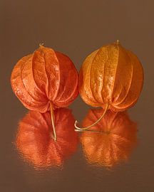 Verletzlich und zerbrechlich in warmen Herbstfarben: Zusammensein von Marjolijn van den Berg