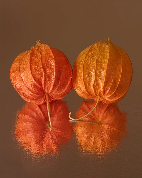 Vulnerable and fragile in warm autumn colours: Being together by Marjolijn van den Berg