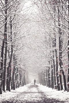 Winters bomen laantje in het Zeisterbos! van Peter Haastrecht, van