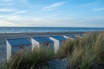 Strand foto van Nieuwpoort bad van Kristof Leffelaer