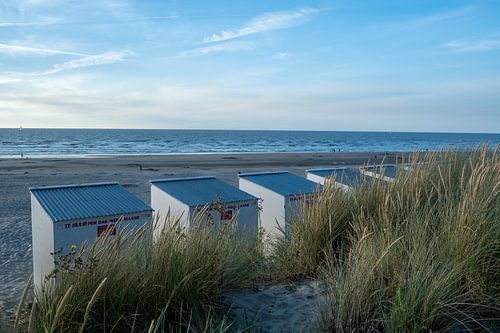 Strand foto van Nieuwpoort bad