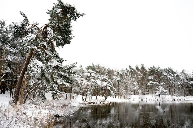 sneeuw van Daphne Jonkers