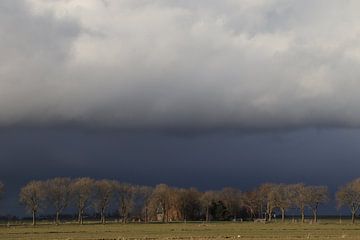 Polderlandschaft etwas außerhalb von Edam. von Charlotte de Boer