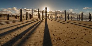 Palendorp Petten tijdens zonsondergang.