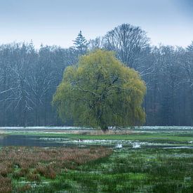 The first green by Bart Harmsen