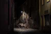 Arachnophobia