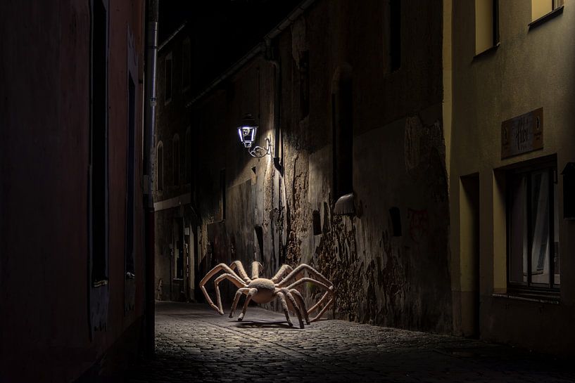 Arachnophobia by Danny Verhalle