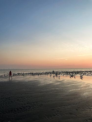 Girl and Birds