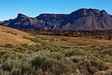Green landscape and mountains in the Teide National Park by Anja B. Schäfer