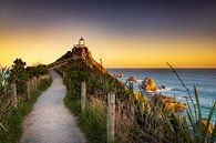 Nugget Point Lighthouse by Antwan Janssen thumbnail