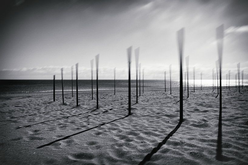 Surrealistisch ritme van Domicile Media