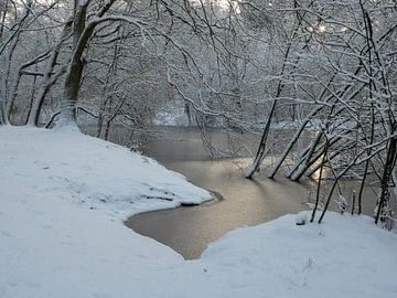 Enchanting Winter Landscape: Snow, Ice and Picturesque Trees by Robin Jongerden