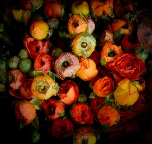 Bouquet de fleurs sur Piet de Winter