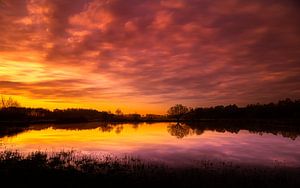 Quacksalber, Sonnenaufgang von Jeroen Mikkers