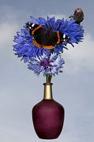 Illustration of a bouquet of field flowers and butterfly with blue background