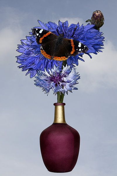 Illustration of a bouquet of field flowers and butterfly with blue background by W J Kok