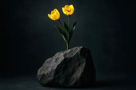 Gele tulpen met steen van Imperial Art House