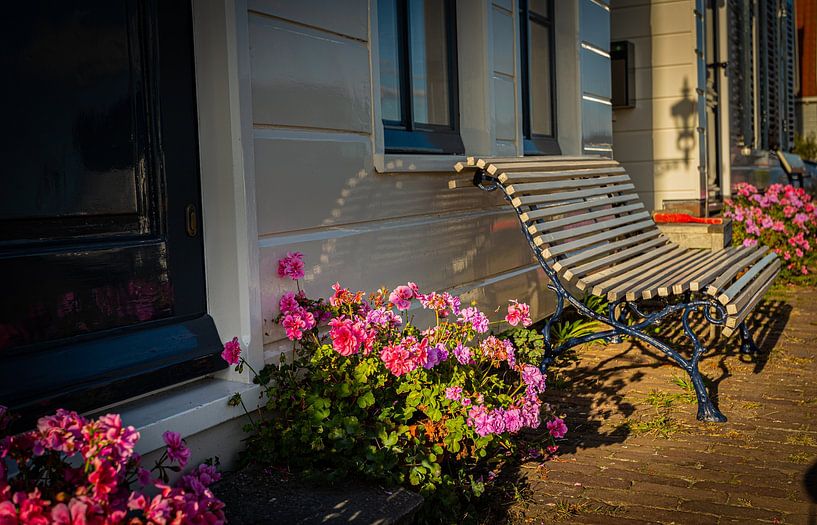 geraniums voor het huis van peterheinspictures