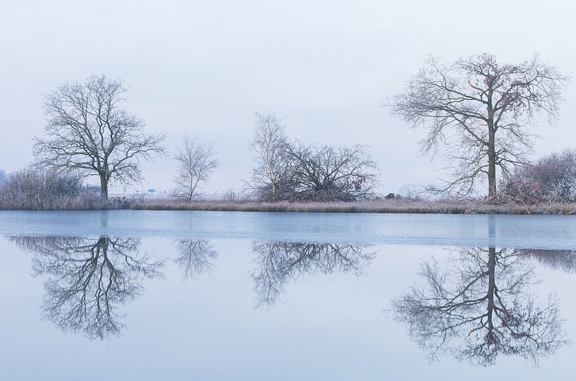 Nature reserve National Park Dwingelderveld (Drenthe) - Netherlands by Marcel Kerdijk