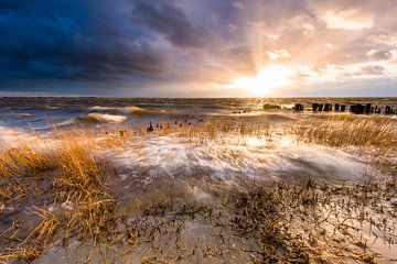 The sea takes. by Ton Drijfhamer