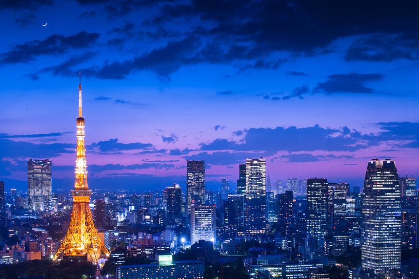 Tokyo night view, Takao Kataoka by 1x