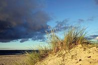 Herbstdünen van Ostsee Bilder thumbnail