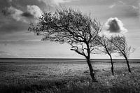 Licht en Land