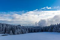Winter Wonderland Thüringer Woud bij Schneekopf van Oliver Hlavaty thumbnail