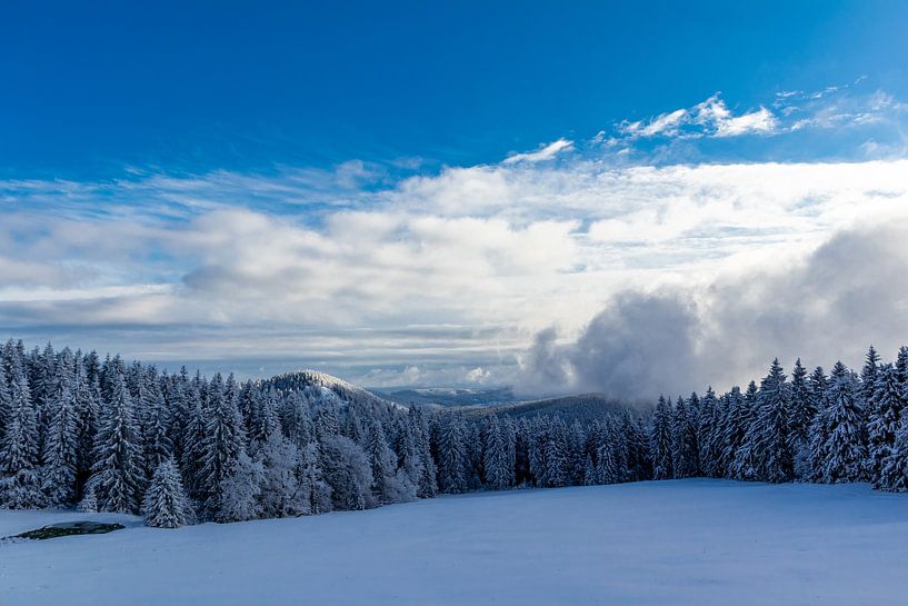 Winter Wonderland Thüringer Woud bij Schneekopf van Oliver Hlavaty
