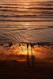 Surfer bei Sonnenuntergang von Angela Seubring