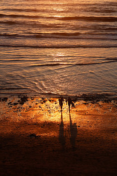 Surfeurs au coucher du soleil