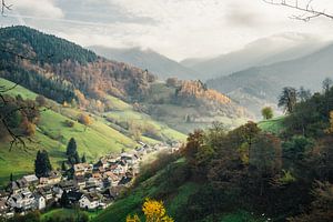 Münstertal Schwarzwald