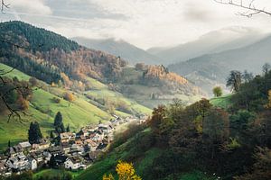 Münstertal Schwarzwald von Patrycja Polechonska