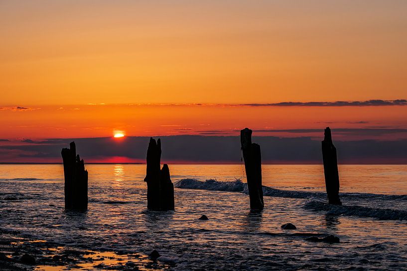 Groynes on shore of the Baltic Sea by Rico Ködder
