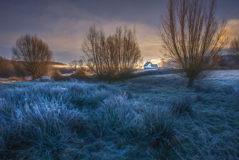 Morning light by Bart van Geffen