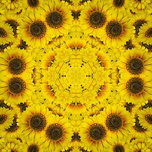 Leuchtend gelbes Mandala