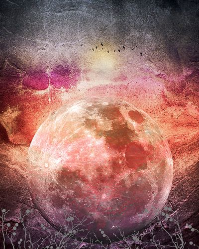 MOON under MAGIC SKY IV