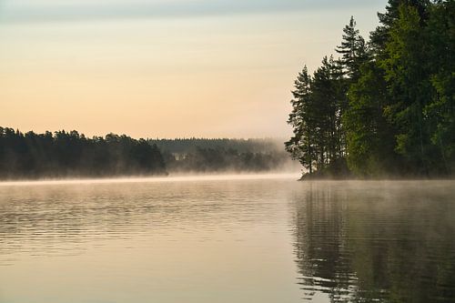 Zonsopgang met mist boven een meer in Zweden, bij zonsopgang