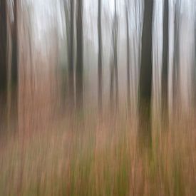 Forêt d'automne atmosphérique sur Gonnie van de Schans