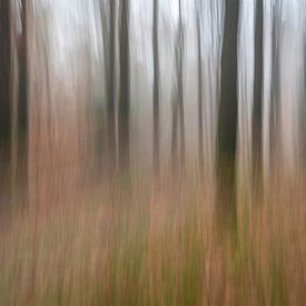 Sfeervol herfstbos van Gonnie van de Schans